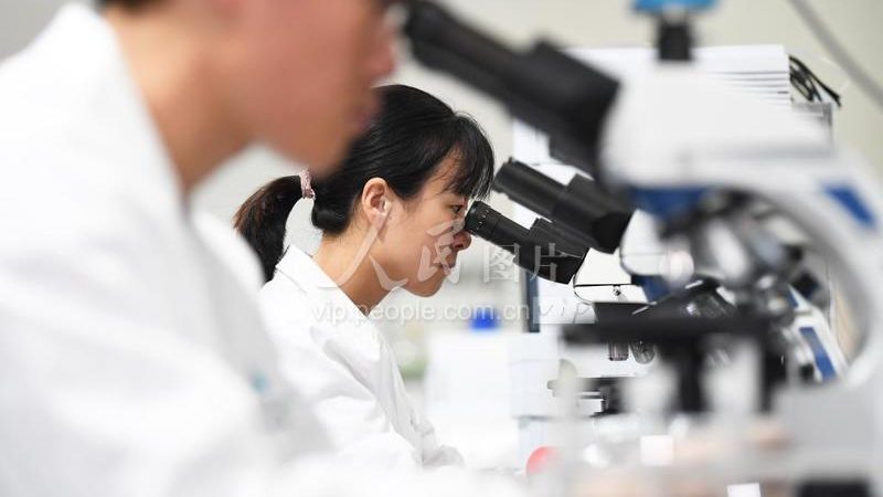 细胞工厂技术参数解析：构建高效生物制造的秘诀