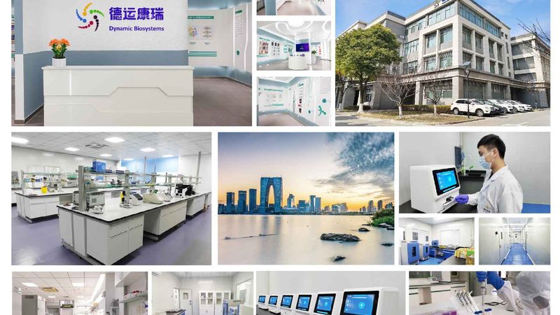 PCR扩增检测流程：揭秘分子生物学检测的关键步骤