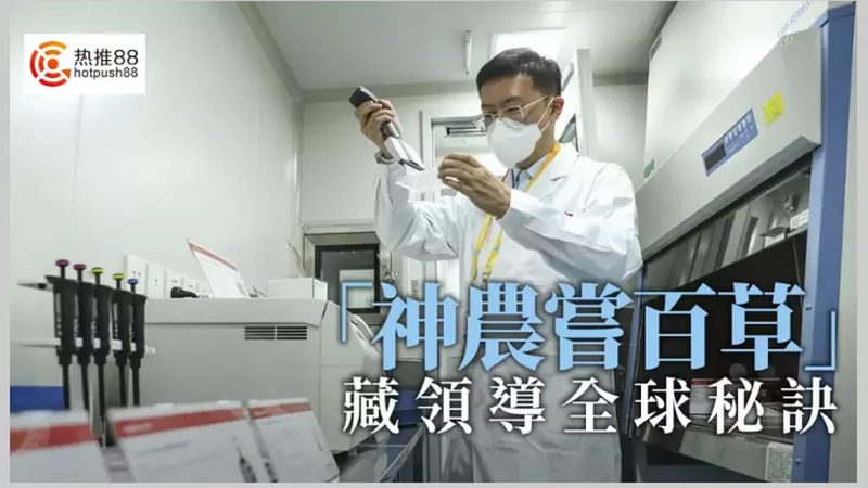 抗体亲和力测定实验：生物制品应用的关键环节