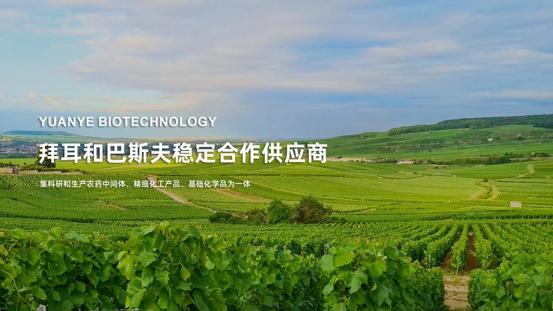 上海实验室耗材分类大全：揭秘实验室必备的“百宝箱”**