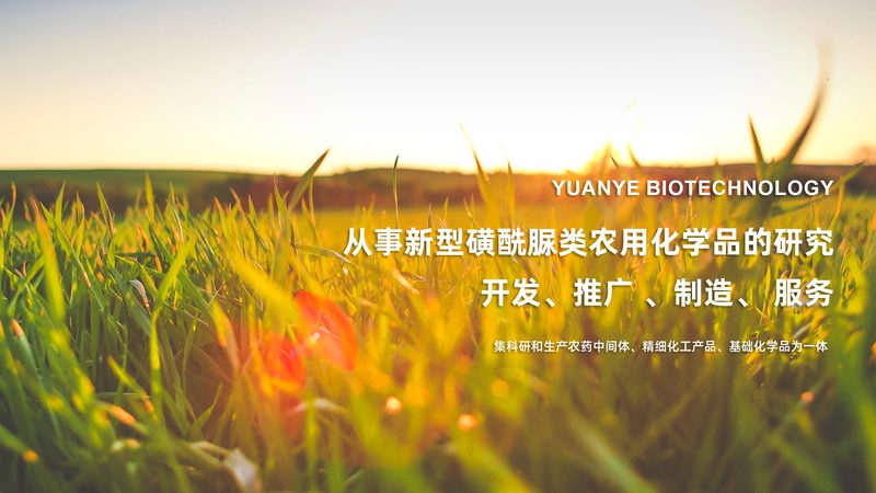 成都生物医药实验室设备：揭秘高效研发背后的关键**