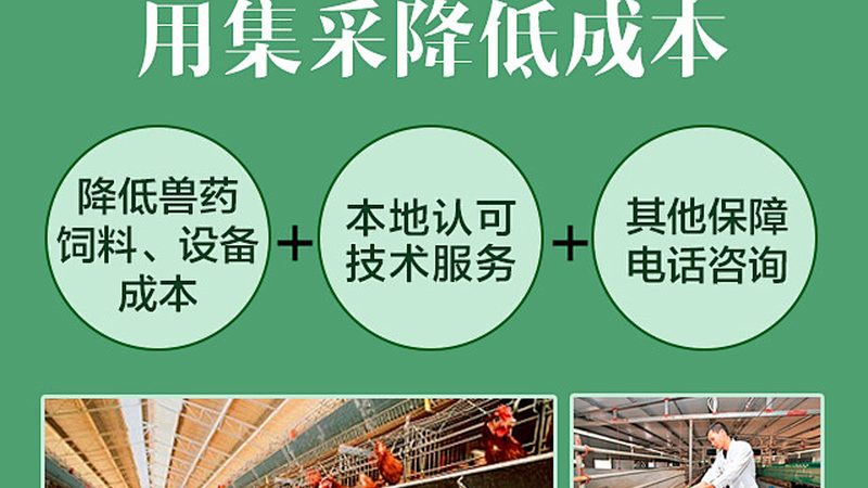 食品级酶生产：揭秘规模背后的技术奥秘