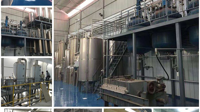 生物医药外包行业：上市公司营收对比背后的趋势解析