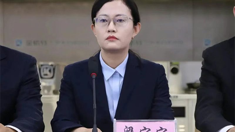 逆转录酶：揭秘其背后的科学与应用**