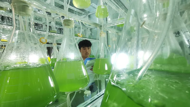 诊断试剂生物制品，如何选择靠谱的厂家？**